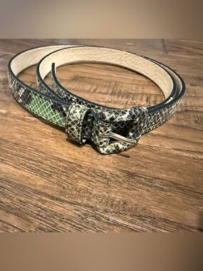 Lodis Green Snake-Print Reptile Pattern Belt - Large - 3/4” wide